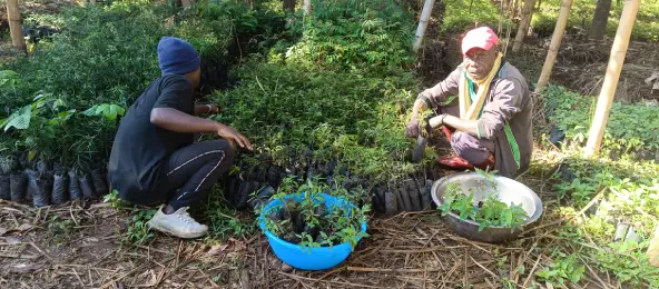 img 20231108 080621 828