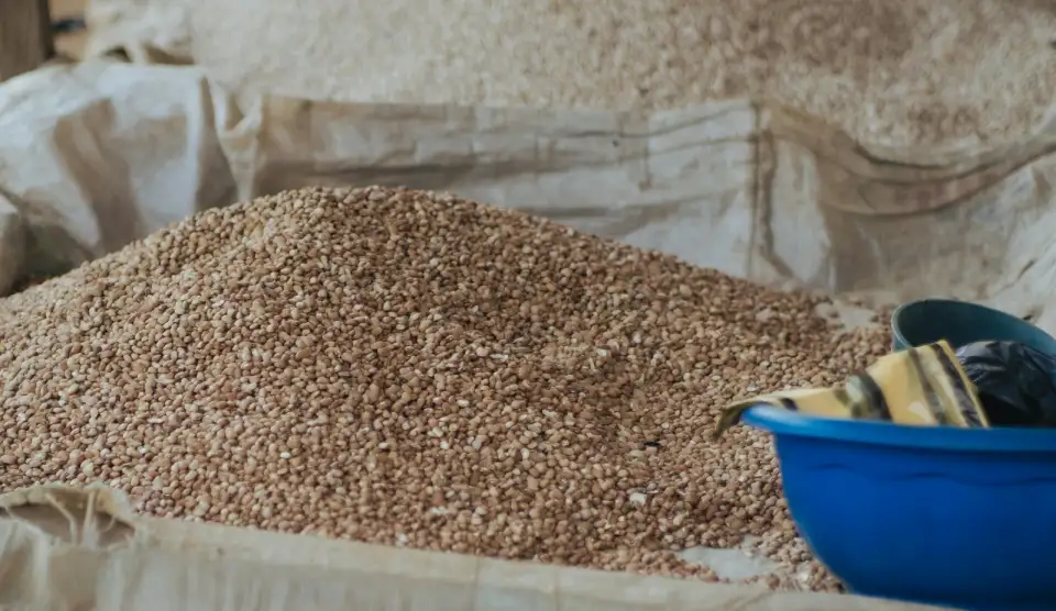 pexels mustapha damilola 458083529 17555574